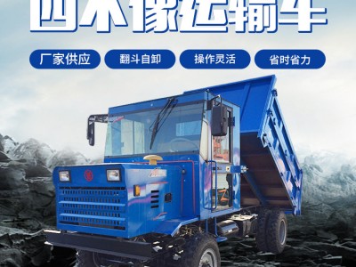 厂家供应四不像运输车 农用四不像拖拉机 工程四不像运输车图2