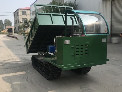 厂家供应履带底盘运输车 工程履带运输车 4吨运输车 履带爬山虎图2