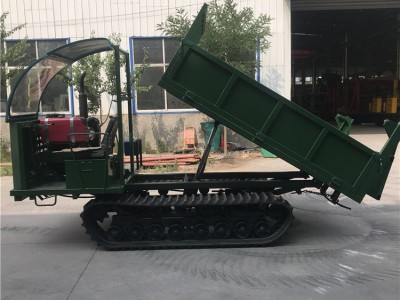 厂家供应履带底盘运输车 工程履带运输车 4吨运输车 履带爬山虎图3