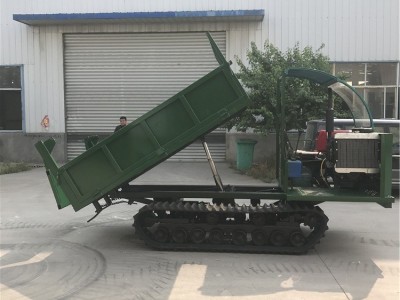 厂家供应履带底盘运输车 工程履带运输车 4吨运输车 履带爬山虎图4