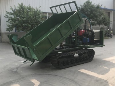 厂家供应履带底盘运输车 工程履带运输车 4吨运输车 履带爬山虎图5