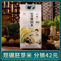 厂家批发胚芽米2.5kg 营养米 留胚米新米