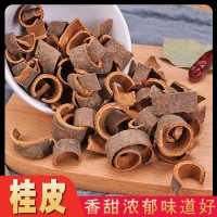 批发桂皮肉桂桂皮丝调味料 火锅底料卤料肉桂量大从优