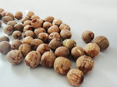 干货有芯红莲子500g 带芯红皮湘莲圆粒散装 湖南特产厂家批发图2