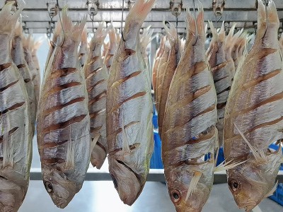 半干金线鱼海鲜干货一夜情干批发咸鱼干干货海鲜批发咸鱼干货批发图2