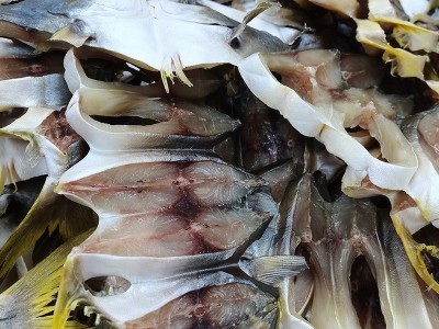 淡晒金鲳 一件代发批发金鲳鱼干鱼干金昌鱼干特产鱼干货黄特昌图3