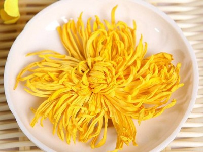 基地直销批发花草茶金丝皇菊 一杯一朵大黄菊花茶散装 花茶批发图2