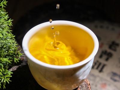 云南普洱茶生茶饼茶老普洱生茶饼357g普洱生茶源头厂家直批普洱茶图3