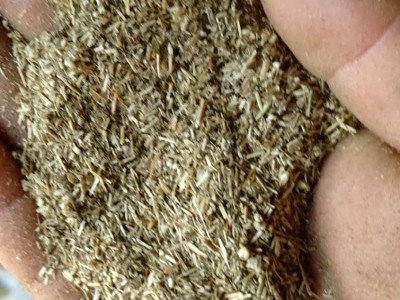 直销牛羊兔艾杆粉饲料细粉养殖袋装原料纯艾草秸秆粉碎无杂质草料图5