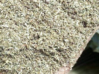 直销牛羊兔艾杆粉饲料细粉养殖袋装原料纯艾草秸秆粉碎无杂质草料图4