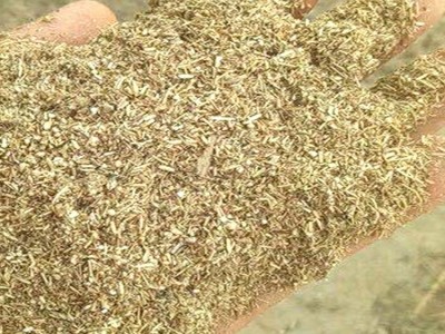 直销牛羊兔艾杆粉饲料细粉养殖袋装原料纯艾草秸秆粉碎无杂质草料图2
