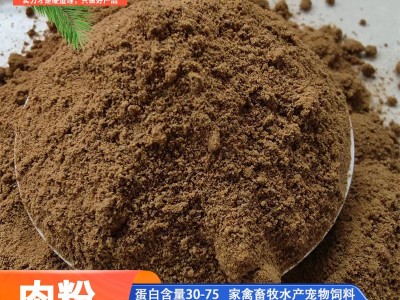 批发肉粉肉骨粉 水产动物性饲料蛋白骨粉 肥料级有机肥肉粉肉骨粉图4