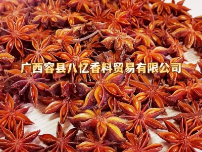 批发广西八角全干大红八角过筛去籽大料大茴香另卖干枝八角桂皮图3
