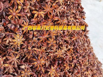 批发广西八角全干大红八角过筛去籽大料大茴香另卖干枝八角桂皮图2