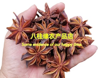 批发广西八角全干大红八角过筛去籽大料大茴香另卖干枝八角桂皮图5