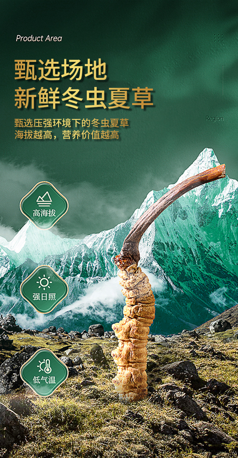 新鲜虫草详情页_04.jpg