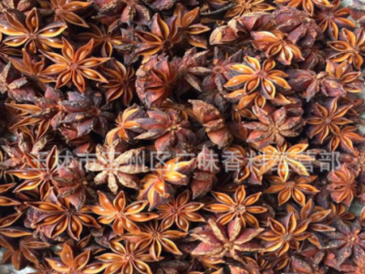 广西大红八角春花八角干枝八角大茴香五香料调料卤料大料500克图4