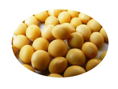黑龙江产地直销批发出口黄豆油豆含油量高高色选35kg/袋图4