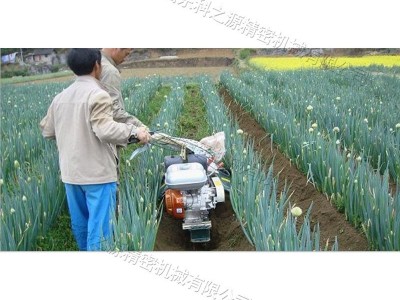 茶园农用自动旋耕机 齿轮式大葱开沟培土机 半自动化田园管理机图3