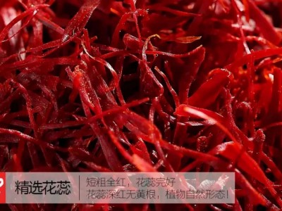 滋补品藏红花伊朗藏红花中药材红花长丝粗壮无黄根批发图5