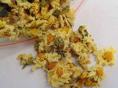 批发优质桐乡杭白菊新货源头工厂散货菊花茶胎菊贡菊量大从优图2