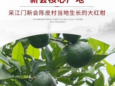 新会陈皮批发实力工厂正宗老陈皮干5年10年15年20年25年陈皮泡茶图3
