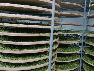 云南大叶种普洱茶叶 散称批发云南大叶种普洱茶古树茶勐海古韵图5