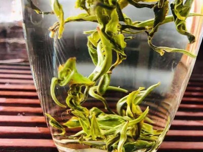 翠茗绿茶2021年明前新茶散称500g滇绿一芽一叶高山云雾绿茶茶叶图4