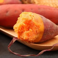 漳浦特产福建六鳌沙地红蜜薯红薯番薯5斤一件代发