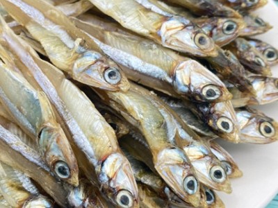 小鱼干白凡鱼干丁香鱼公鱼海燕鱼干小银鱼干北海特产海鲜干货批发图4