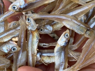 小鱼干白凡鱼干丁香鱼公鱼海燕鱼干小银鱼干北海特产海鲜干货批发图2