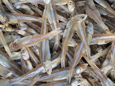 小鱼干白凡鱼干丁香鱼公鱼海燕鱼干小银鱼干北海特产海鲜干货批发图3