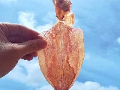 北海烧烤鱿鱼干ktv鱿鱼干货手撕芥末尤鱼干A4干鱿鱼500g海鲜批发图2