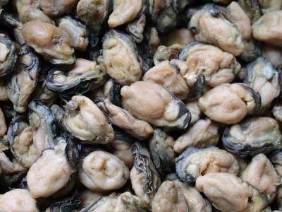 北海特产淡晒生蚝干牡蛎干货自晒不抽油海蛎干海蛎子500g批发图1