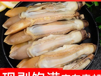 新鲜蛏王肉竹蛏肉蛏子肉现剥手指鲜活冷冻饱满无冰衣抖音250g图1
