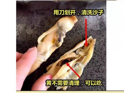 新鲜蛏王肉竹蛏肉蛏子肉现剥手指鲜活冷冻饱满无冰衣抖音250g图2