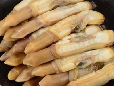 新鲜蛏王肉竹蛏肉蛏子肉现剥手指鲜活冷冻饱满无冰衣抖音250g图4