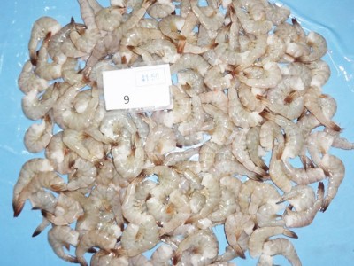 去头虾印度无头虾鲜冻无头虾海鲜批发供应冷冻海鲜大虾食用冻虾图2
