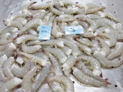 去头虾印度无头虾鲜冻无头虾海鲜批发供应冷冻海鲜大虾食用冻虾图4