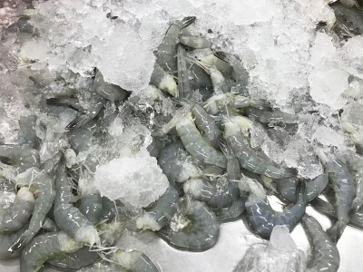 去头虾印度无头虾鲜冻无头虾海鲜批发供应冷冻海鲜大虾食用冻虾图3