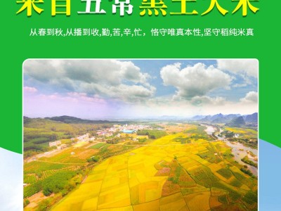 厂家批发黑龙江五常大米新米 东北大米圆粒珍珠米5kg吉泉香米直批图3