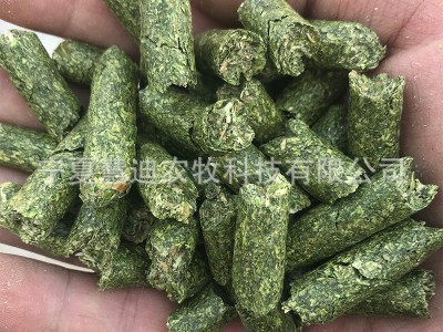苜蓿颗粒 鸡鸭鹅猪兔粮紫花苜蓿草颗粒 牛羊马饲料厂苜蓿草颗粒图4