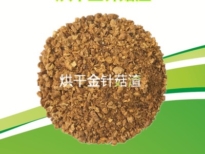大量供应替代麸皮花生秧粉的烘干金针菇用于牛羊兔颗粒料猪鸭鹅料图2