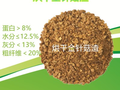 大量供应替代麸皮花生秧粉的烘干金针菇用于牛羊兔颗粒料猪鸭鹅料图3