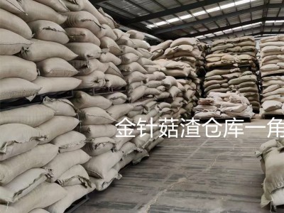 大量供应替代麸皮花生秧粉的烘干金针菇用于牛羊兔颗粒料猪鸭鹅料图5
