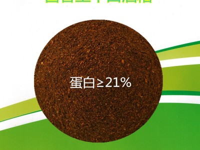 直供白酒糟牛羊饲料原料可替代麸皮高粱小麦酱香型烘干白酒糟粉图4