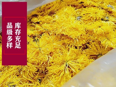 产地直销修水金丝皇菊20年新花散装菊花茶一朵一杯婺源大黄菊批发图2