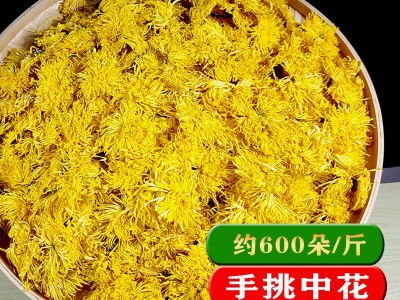 2020年新花修水金丝皇菊一朵一杯散装养生茶花草茶黄山菊花茶批发图2