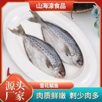 雪花鲳鱼 斑点鲳鱼海鲜冻品食品 酒店餐饮食材供应冷冻雪花鲳