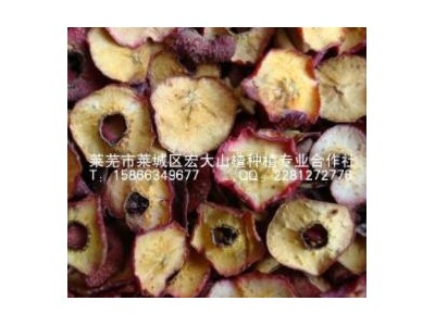 供应烘干山楂边皮 山楂两头片 饲料用山楂干 山楂下脚料图5